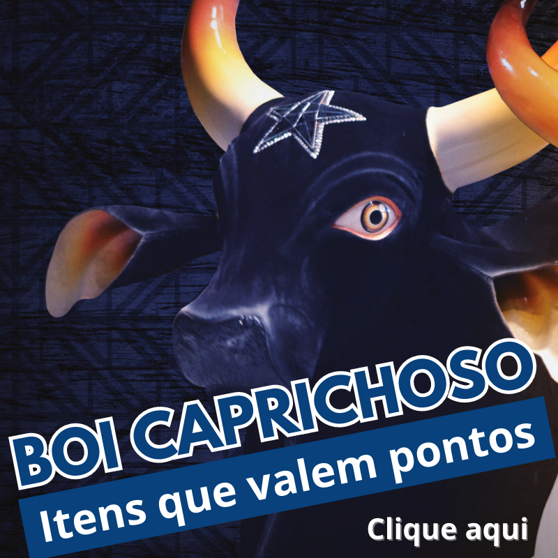 Clique aqui e conheça cada item do Boi Caprichoso!