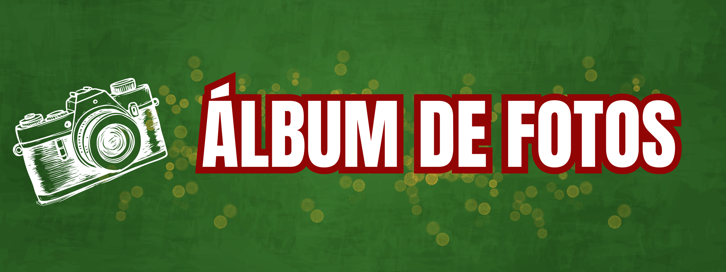 &Aacute;LBUM DE FOTOS